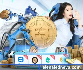 持续创新
