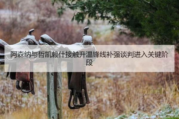 阿森纳与哲凯赖什接触升温锋线补强谈判进入关键阶段