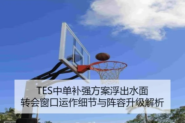 TES中单补强方案浮出水面 转会窗口运作细节与阵容升级解析